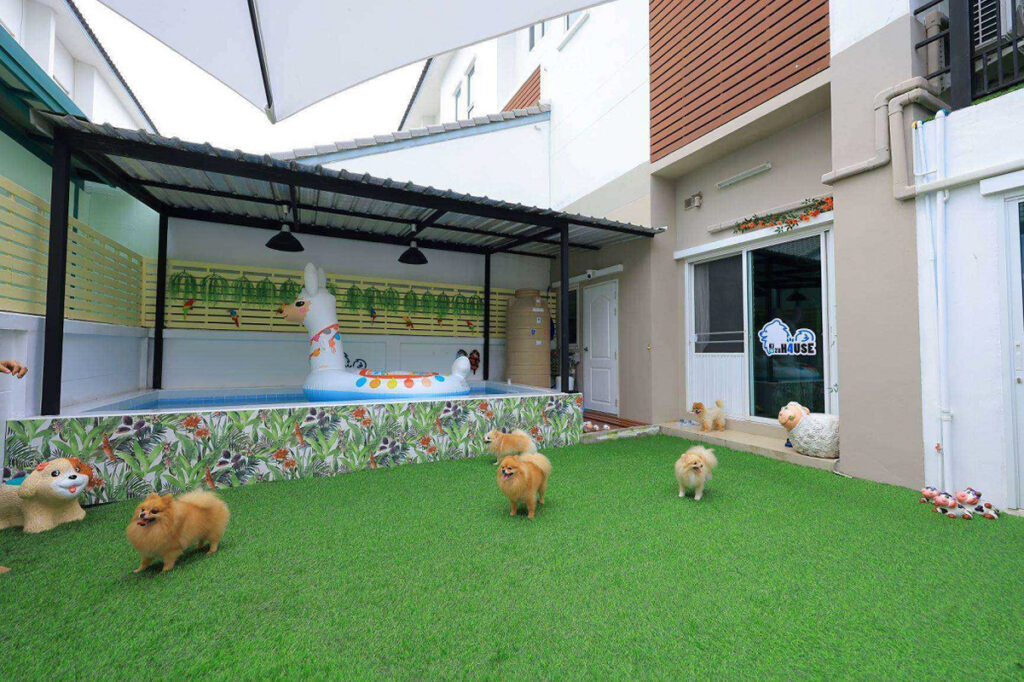 zuHause dogs hotel
