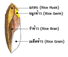 THANN Micellar songwat